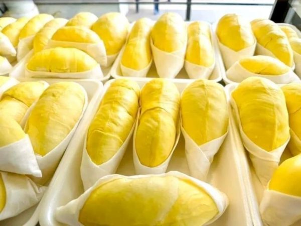 Sầu riêng đông lạnh