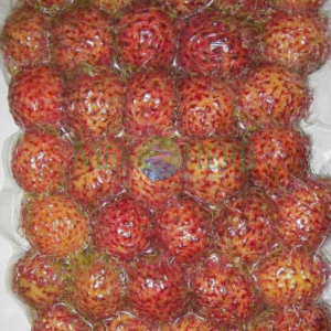 Chôm chôm đông lạnh