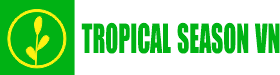 TropicalSeasonVN