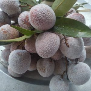 Vải thiều đông lạnh